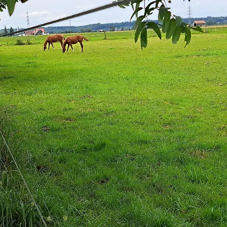 Allgaeublick Am Radweg Mit Fahrradgarage Und Garten Apartment *